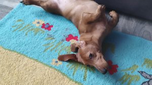 делаю кораблик из оригами