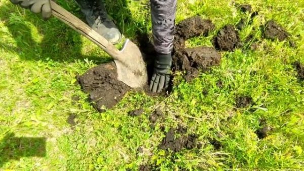 Коп на заброшенной ферме