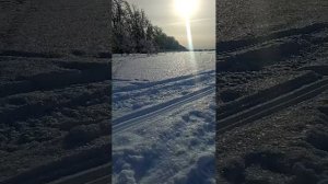 Пушистый снег🐶🤣