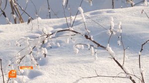 Прогноз погоды