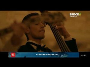 Смена логотипа с новогоднего на обычный Bridge Шлягер 15.01.2026