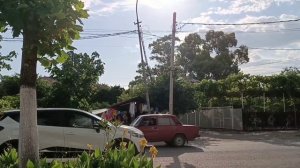 Вспомнила отдых. Абхазия. Красивая страна. Просто любуюсь природой цветы 🌸🌺🌻🌹🌷🌼💐, конечно 💯.