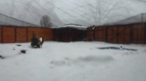 13.02.2026г. Киарочка