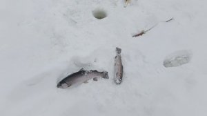 VID_20260213_174401_190