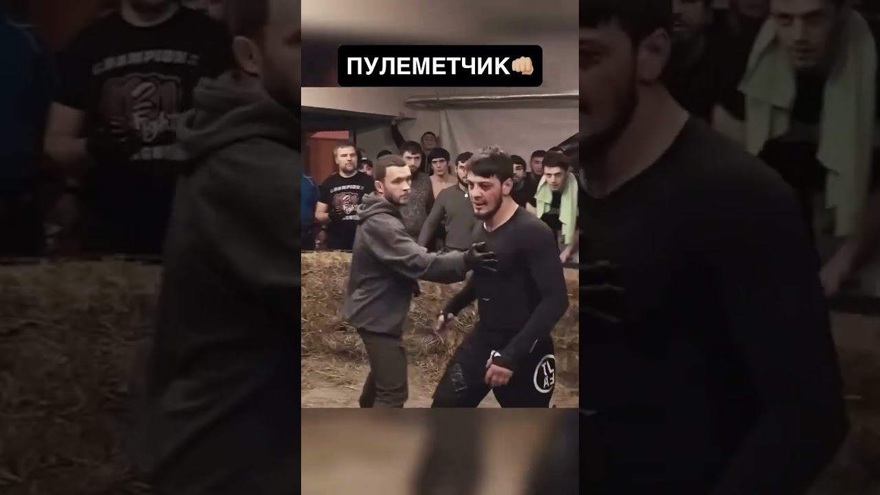 Начало попмма, начало кулачки, начало топ дога смотреть онлайн