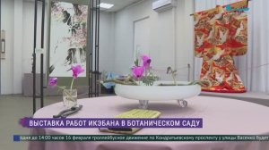 Выставка икэбана в Ботаническом саду