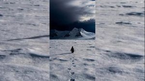 Три самые лучшие Христианские песни на Радио Аллилуйя - Часть 3