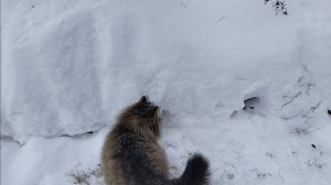 ПРОСТАЯ ЖИЗНЬ 45 //ПРОВЕРНУЛИ МНОГО ДЕЛ //ПАПУ ОПРАВДАЛИ// К ВЕСНЕ ГОТОВА