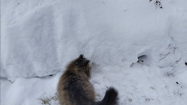 ПРОСТАЯ ЖИЗНЬ 45 //ПРОВЕРНУЛИ МНОГО ДЕЛ //ПАПУ ОПРАВДАЛИ// К ВЕСНЕ ГОТОВА