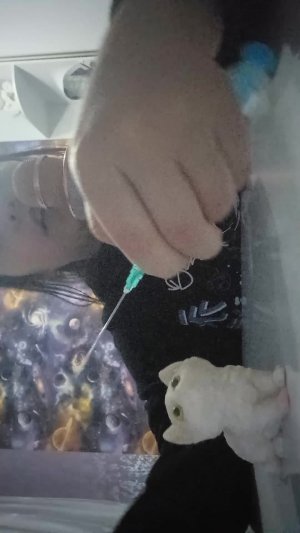 Что мне подарила лп