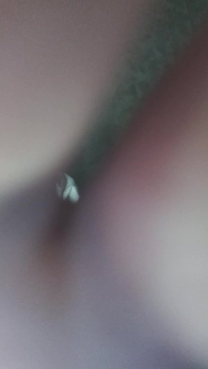 ИГРА НА ФЕНИСКЕ