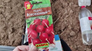 Что Посадить в Теплицу в Феврале Первые Посадки в Теплицу в 2026