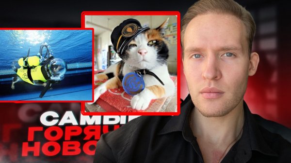 Дайвинг для домашних животных..КОТ НАЧАЛЬНИК ЖЕЛЕЗНОДОРОЖНОЙ СТАНЦИИ😂 Топ новостей