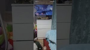 394.mp4мой младший брат играет в гта