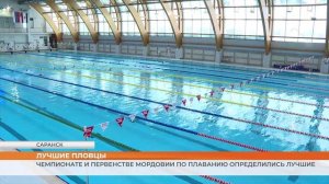 Чемпионат и Первенство Мордовии по плаванию