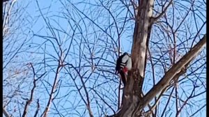 Прогулка  до озеро. Распаковка