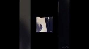 Как бактерии кишечника защищают иммунитет?