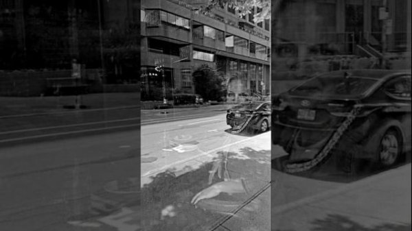 Опавшие Крылья