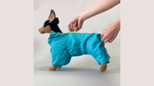 Как подобрать одежду для собаки и выбрать размер комбинезона