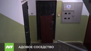 Жалобы соседей на собачницу на Заводской, 12. Нижневартовск