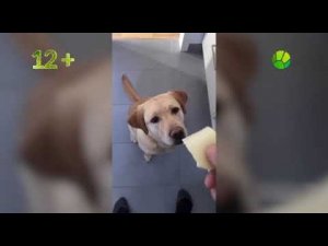 Выход с профилактики канала Живая планета 16.04.2025