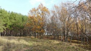 «Холодная осень», и любовь уже не вернуть... Автор Евгений Карсалов