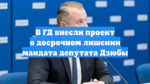 Комиссия Госдумы предложила прекратить полномочия депутата Виктора Дзюбы