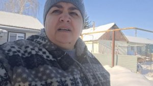 Снежное, холодное утро, нашла Кузю