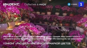 Гонконг «расцвёл» красочной ярмаркой цветов