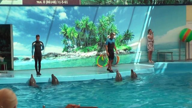 Тюмень — Азовское море. На машине к дельфинам в Голубицкой 🐬🚙