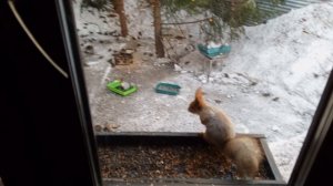 у всех обед