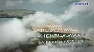 Тайны заповедника «Ненецкий». За белым лебедем