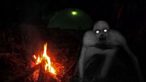 Кто ХОДИТ вокруг ПАЛАТКИ во ТЬМЕ?