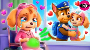 Щенячий патруль и Маршалл. Залипательное видео. Мультфильм для детей и малышей. Анимация 233