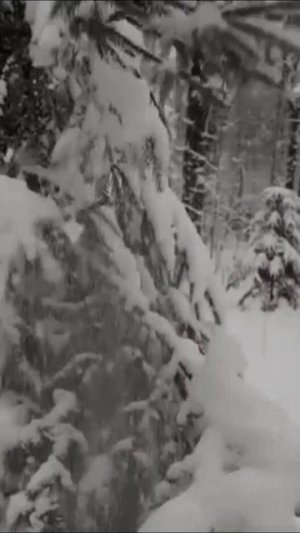 Юлия Светлая - Какая долгая зима