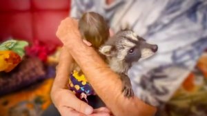 Тимоша стал учавствовать в распаковке, а Влад пытается ЕГО  ПОМИРИТЬ со Степой , Маней и Басиком!