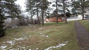 И наступила весна 🌱Иду в магазин и рассказываю! Юг России🌴