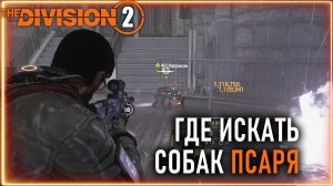 Где искать мини-роботов собак ⚡ Быстрый фарм мини робопсов ⚡ Кровавый Псарь ⚡ Division 2  ПВЕ pve