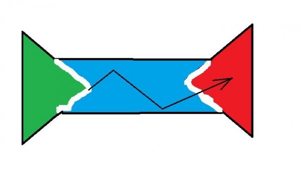 WWW  понятие биологической жизни