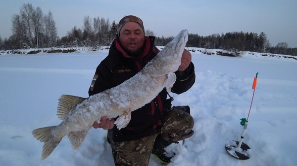 ЗАНОЧЕВАЛ В МЕТЕЛЬ НА КУРЬЕ! ТРОФЕЙНАЯ ЩУКА НА ЖЕРЛИЦУ, ЯЗИ НА КОМБАЙНЫ \ СЖЁГ ПАЛАТКУ, ЧАСТЬ 2.