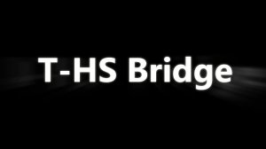 Плагин клонирования памяти ИИ между сессиями