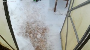 Я стал счастливым обладателем мини культиватора.