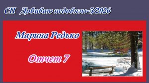 СП "Добиваю недовязы5-2026" / Отчет 7