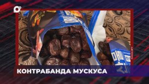 В порядке! / Вред здоровью / Не знал про декларации / 13.02.26