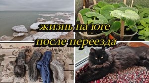 МОРЕ РАСТАЯЛО,ЭКЗАМЕН  НЕ СДАЛА,  КУПИЛА ЕЩЁ СЕМЯН, РОЗЫ, КАКАЯ СЕЙЧАС РАССАДА