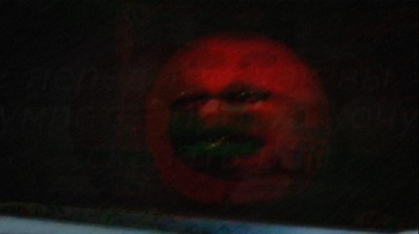 anthropolomothicorange.mov