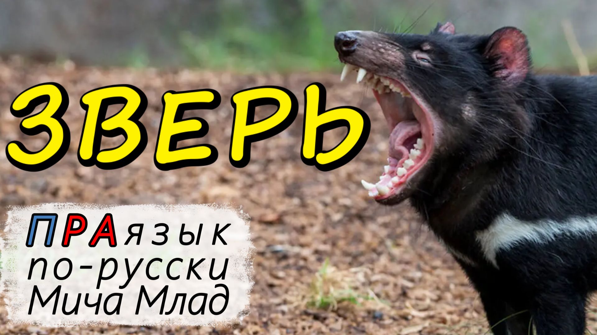 «ЗВЕРЬ», «ДИНОЗАВР» что означает? Этимология слова - праязык