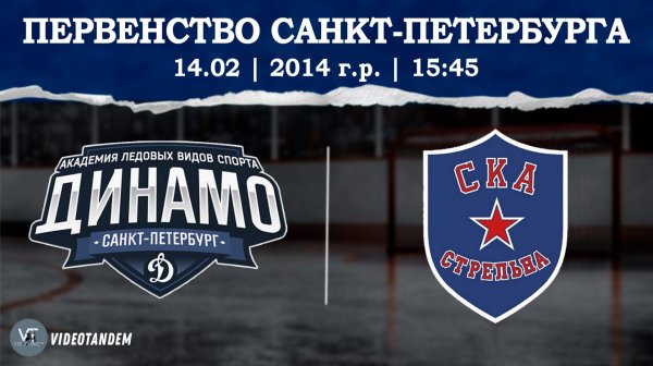 Динамо 14 - СКА Стрельна 14 / 14.02.2026