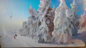 Милейко Сергей -