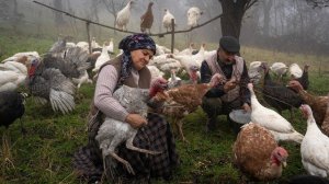 Турецкий плов из индейки по деревенски. Старинный рецепт